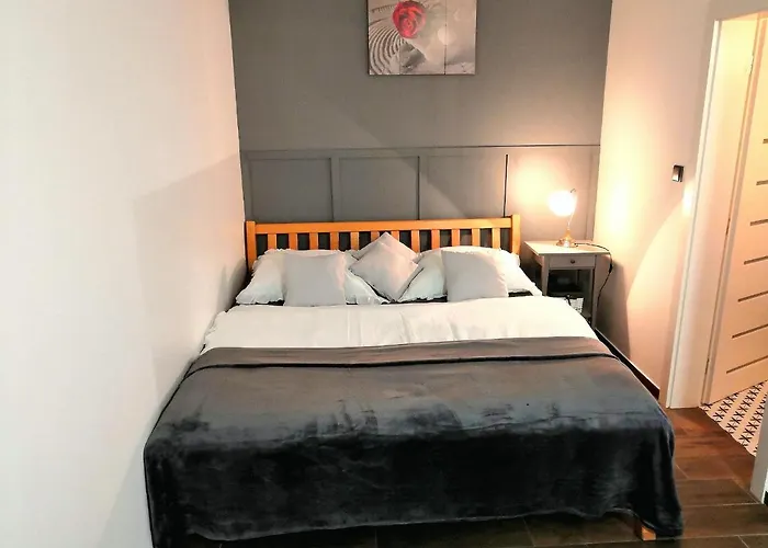 Ruzicka ミクロフ