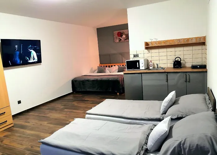 Ruzicka * ミクロフ