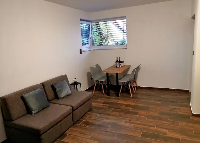 Ruzicka * ミクロフ